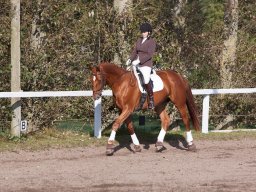 IMG_7780_web